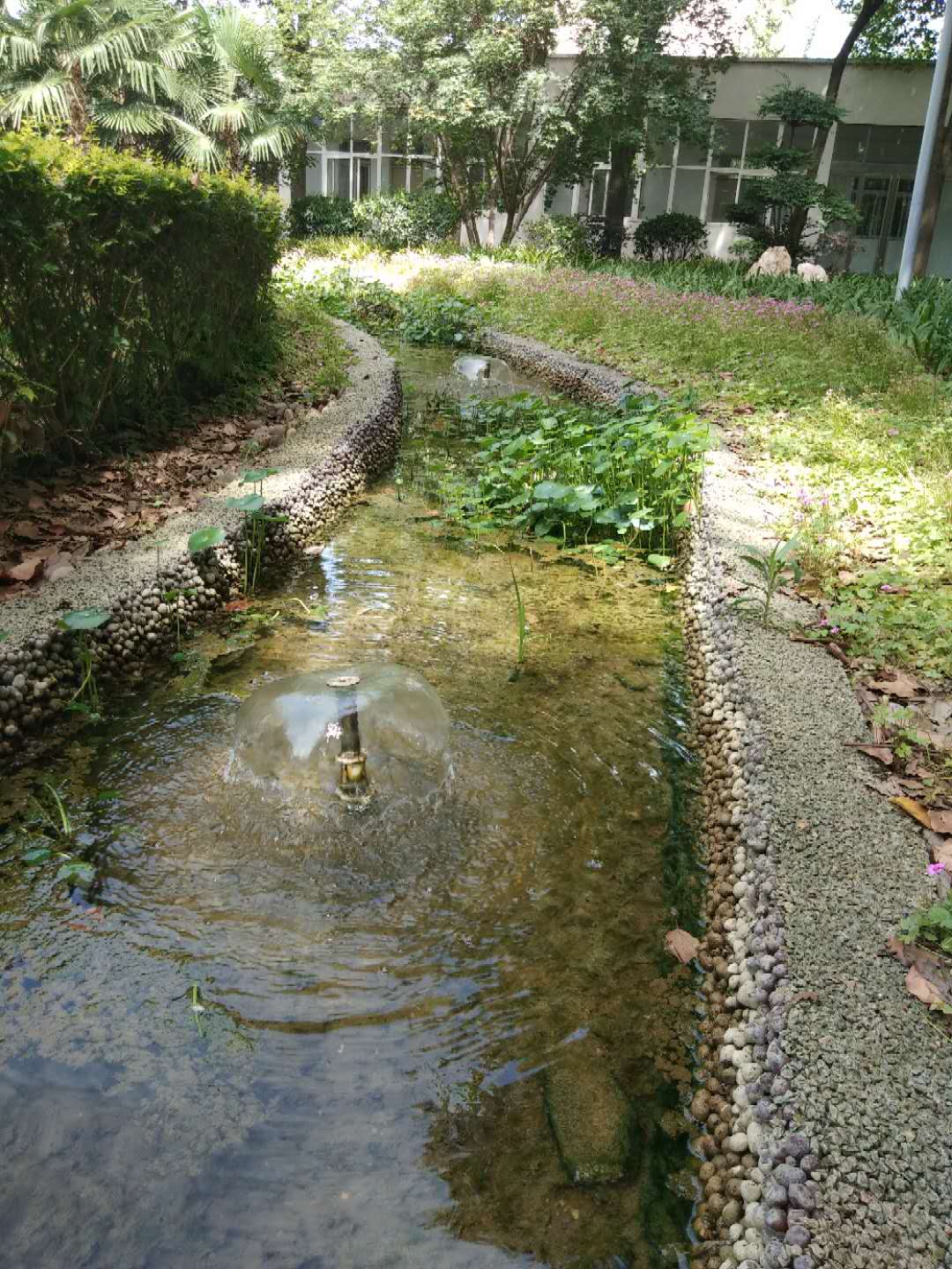小区海绵城市改造 小区海绵城市改造