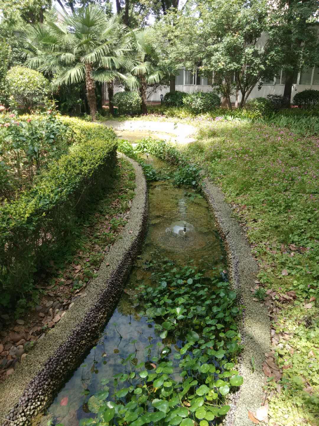 小区海绵城市改造 小区海绵城市改造