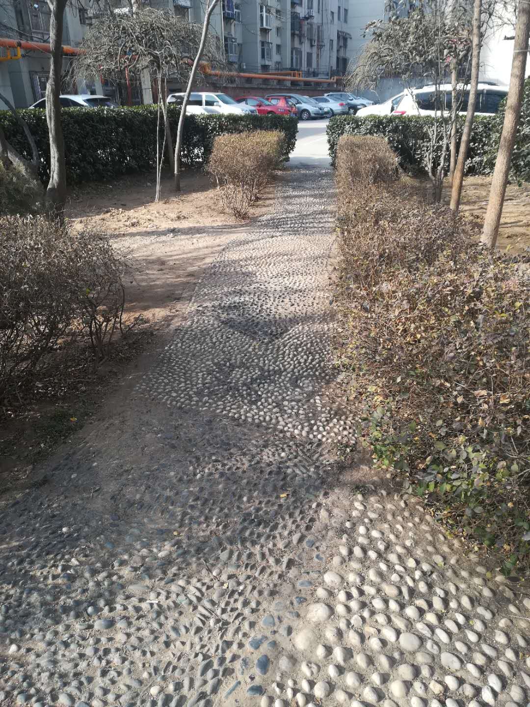 雨水花园改造 雨水花园改造