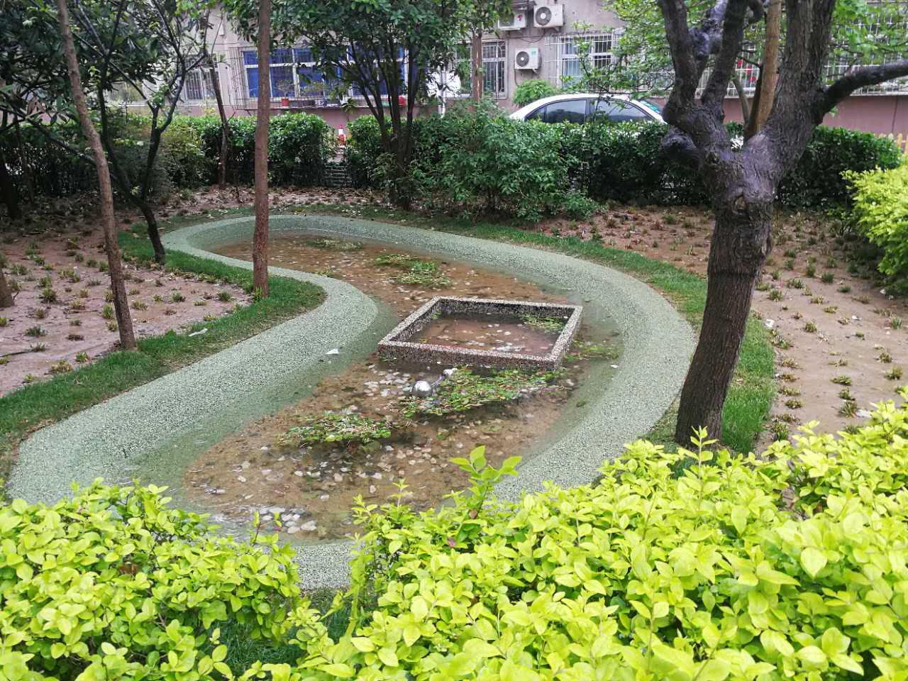 雨水花园改造 雨水花园改造