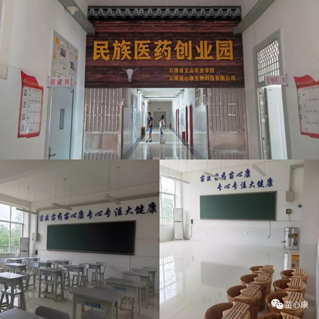校企合作铸人才——苗心康与云南省文山农业学校共同成立民族医药创业园 校企合作铸人才——苗心康与云南省文山农业学校共同成立民族医药创业园
