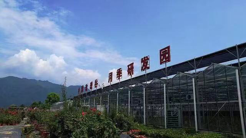 艾肯携手北京银谷集团，成功举办第八届中国月季展，共建中国国家玫瑰公园