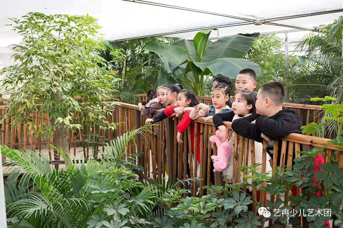 小小战狼团 小小战狼团