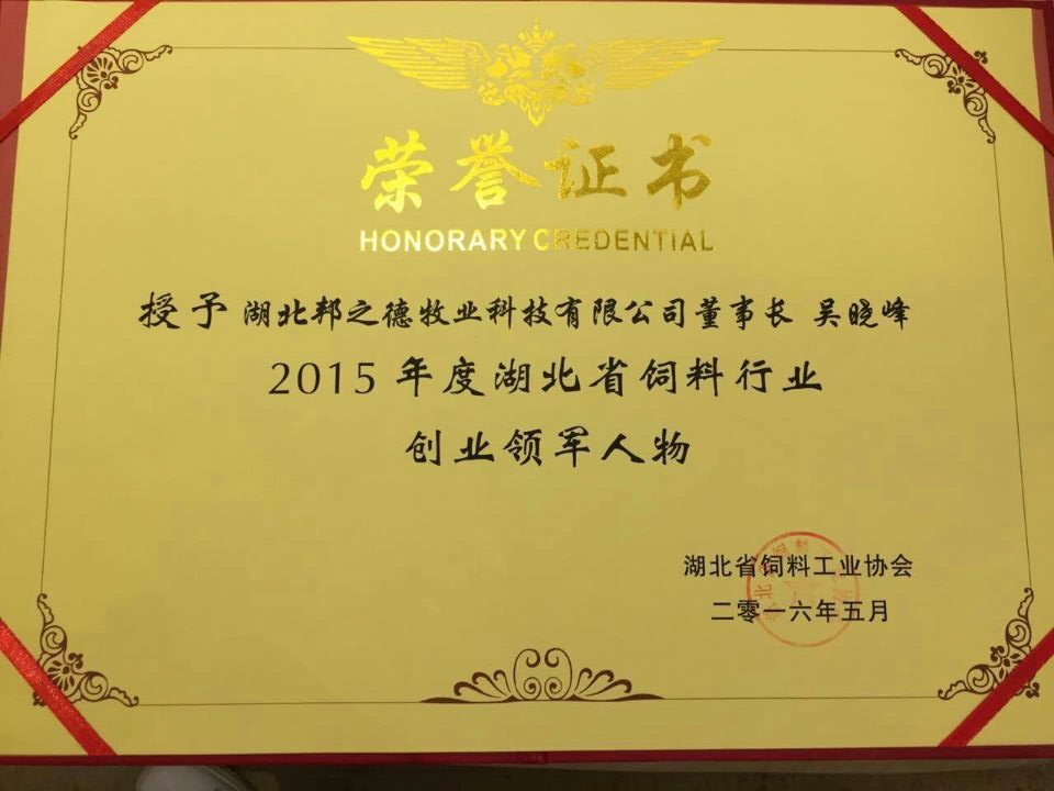 领军人物荣誉证书.jpg