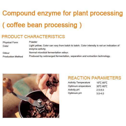 Compound enzyme for plant processing ( coffee bean processing )