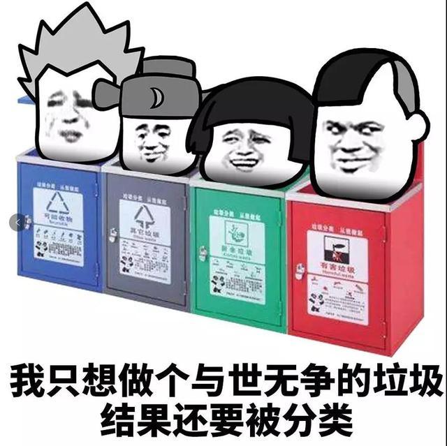 垃圾不分类,生活两行泪!搞定这些“垃圾”,我们为您护航 垃圾不分类,生活两行泪!搞定这些“垃圾”,我们为您护航