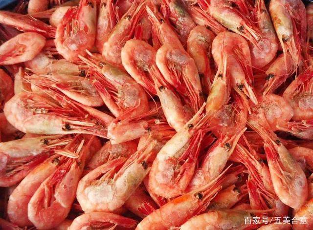 走进挪威大海产,除了三文鱼,北极虾也是海鲜极品 走进挪威大海产,除了三文鱼,北极虾也是海鲜极品