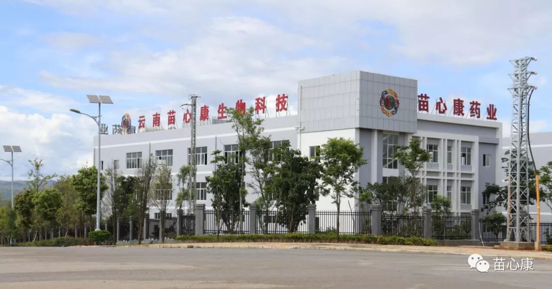 健康中国——苗心康在行动 健康中国——苗心康在行动