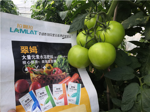 大量元素水溶肥有哪些作用 大量元素水溶肥有哪些作用