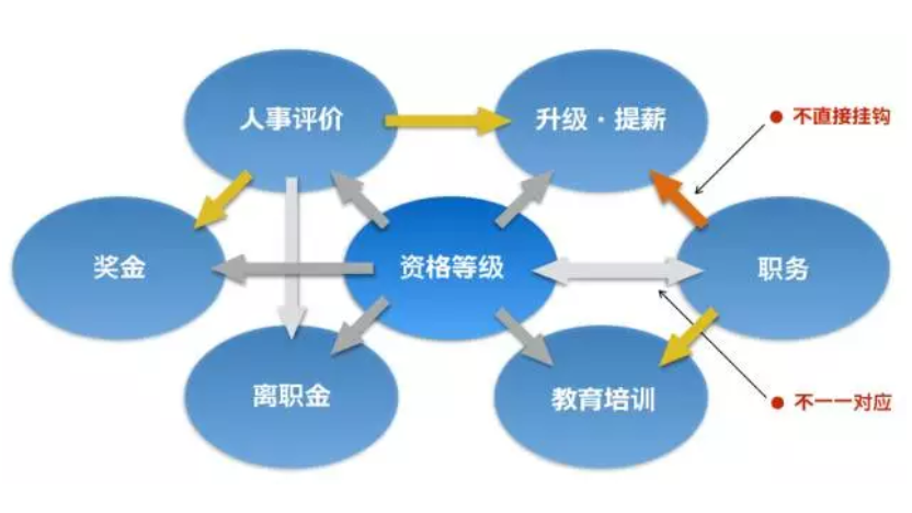 如何导入阿米巴经营？