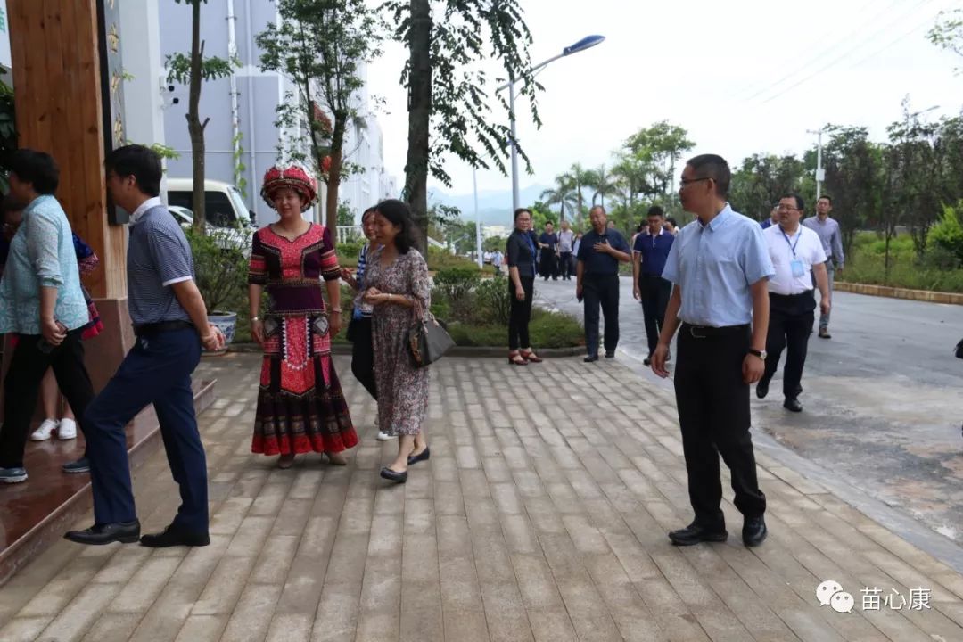 国家民委有关部门130人调研组到苗心康企业调研指导工作 国家民委有关部门130人调研组到苗心康企业调研指导工作