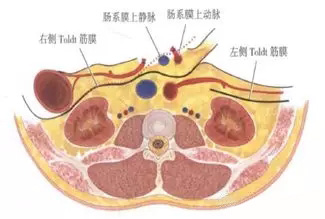 【腹腔镜篇】结直肠癌手术的入路图解 【腹腔镜篇】结直肠癌手术的入路图解