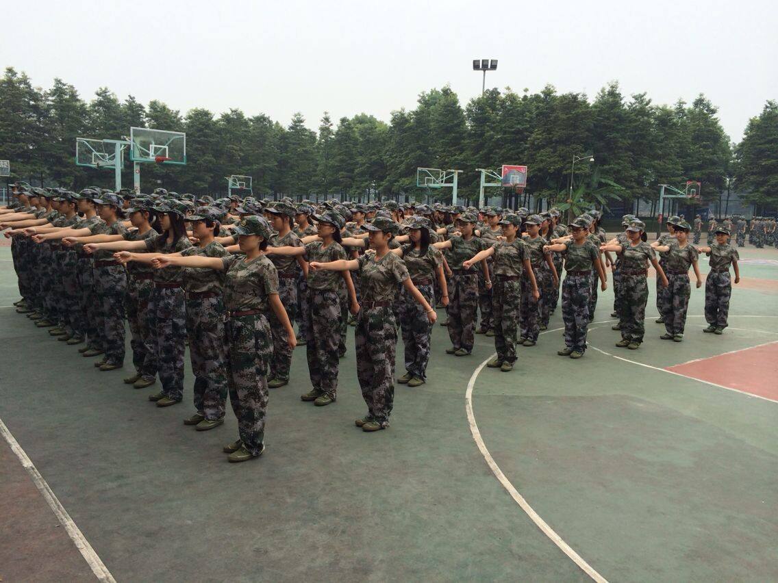 5篇初中学生军训心得感想作文范文(500字) 5篇初中学生军训心得感想作文范文(500字)