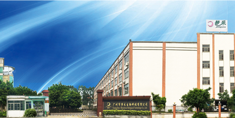 国际化生产 国际化生产