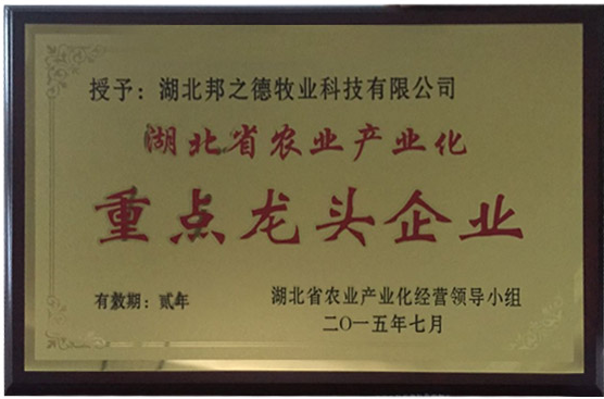 湖北省重点龙头企业