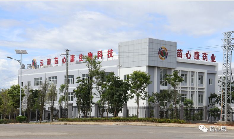 云南苗心康药业有限公司即将开业啦! 云南苗心康药业有限公司即将开业啦!