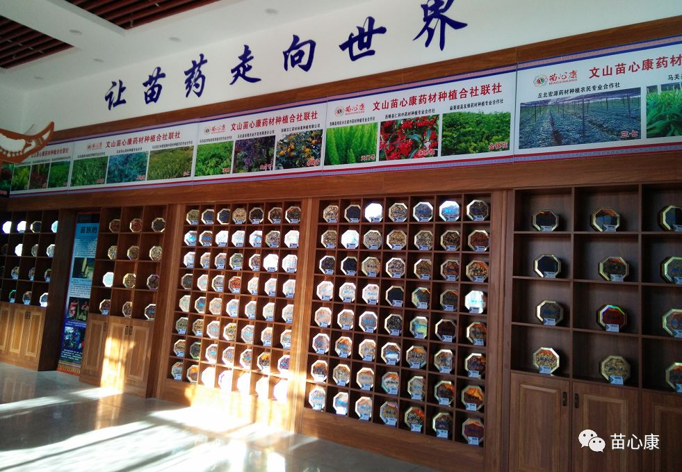 云南苗心康药业有限公司即将开业啦! 云南苗心康药业有限公司即将开业啦!