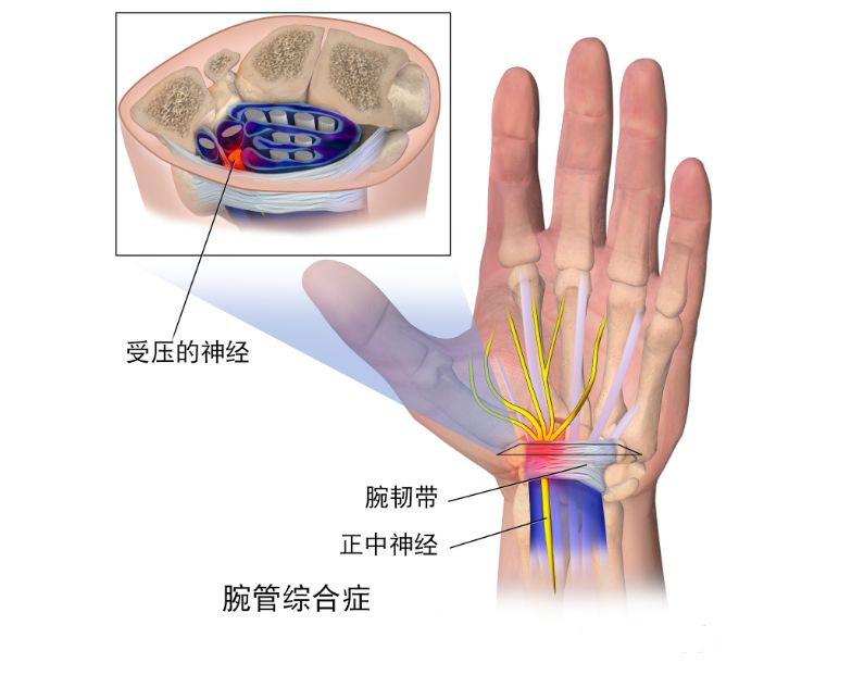 睡覺(jué)“不會(huì)”翻身，手麻腳麻，其實(shí)是有原因的！