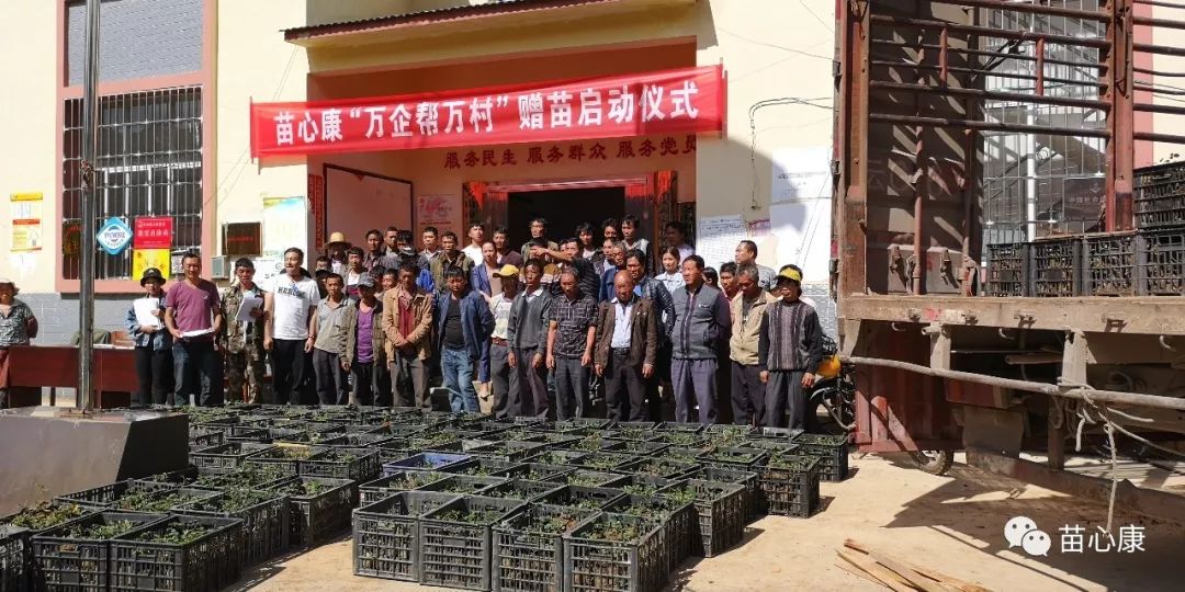 苗心康——维护民族团结,构建和谐家园 苗心康——维护民族团结,构建和谐家园