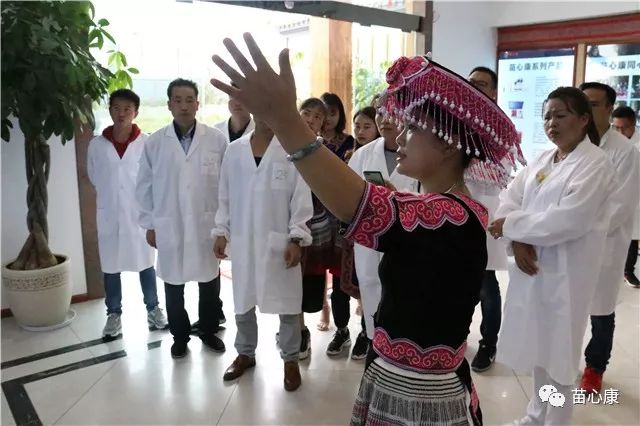 祝贺苗心康中医理疗师培训顺利结业 祝贺苗心康中医理疗师培训顺利结业