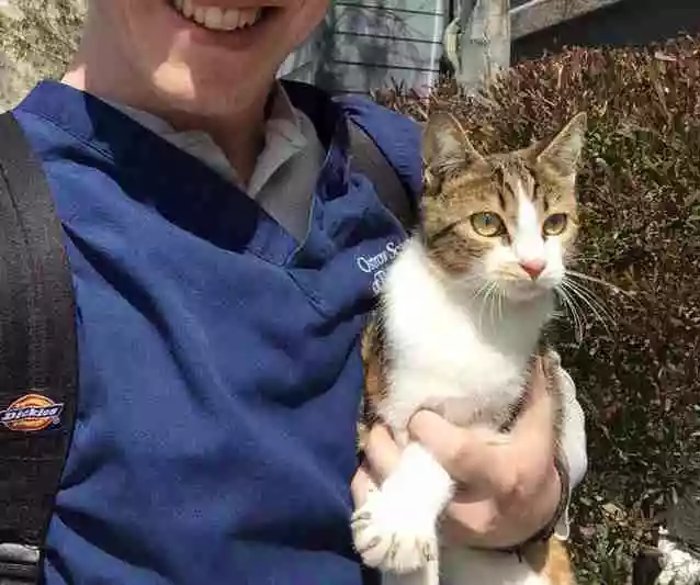 家中狗狗对新收养的流浪猫毫无兴趣,直到小窝小猫的出生 家中狗狗对新收养的流浪猫毫无兴趣,直到小窝小猫的出生
