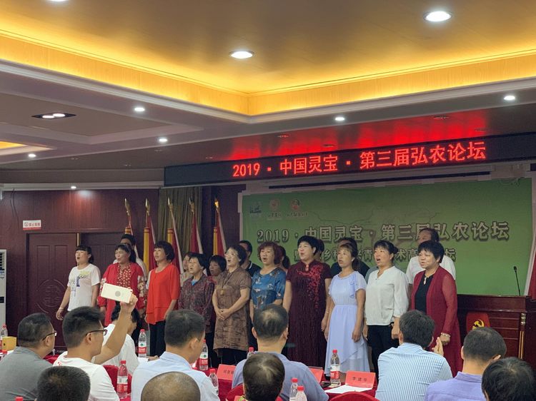 2019·中国灵宝·第三届弘农论坛成功举行