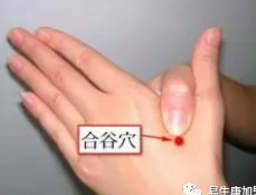 一个穴位相当于一味中药 一个穴位相当于一味中药