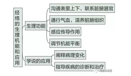 经络养生文化的内涵-经络的地位 经络养生文化的内涵-经络的地位