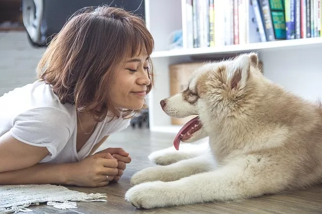 总说爱狗?那看看这10条你中几条? 总说爱狗?那看看这10条你中几条?