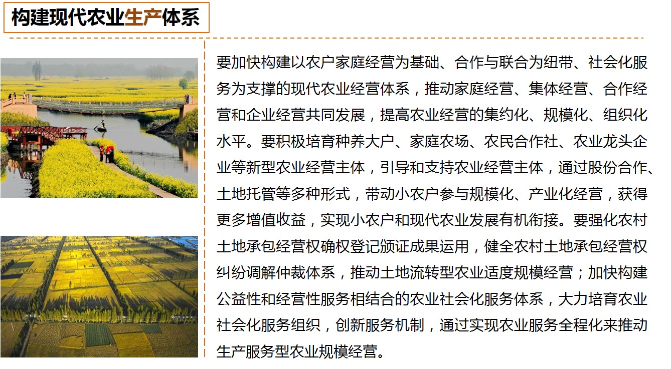 乡村振兴 乡村振兴
