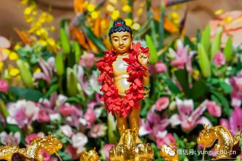 悲愿降娑婆 慈心拔沉沦——天上云居恭迎本师释迦牟尼佛圣诞 悲愿降娑婆 慈心拔沉沦——天上云居恭迎本师释迦牟尼佛圣诞