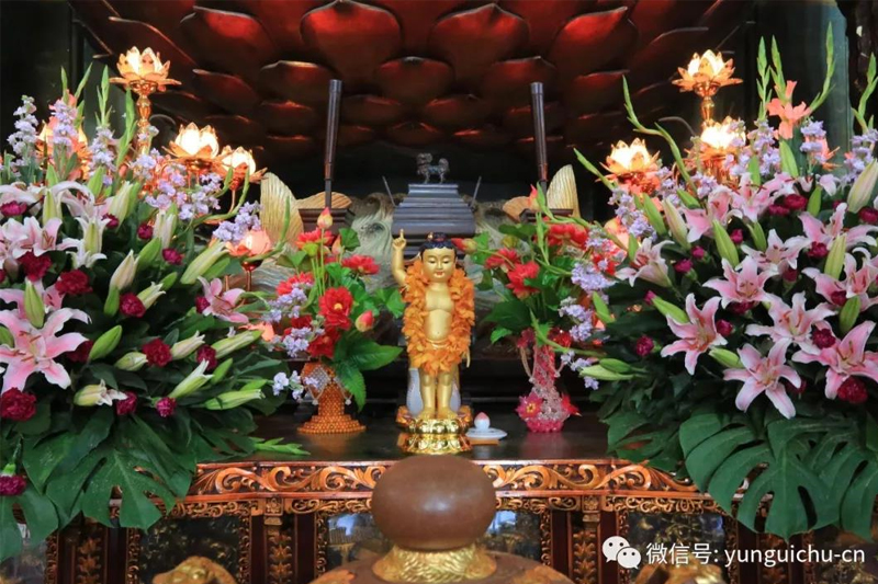 悲愿降娑婆 慈心拔沉沦——天上云居恭迎本师释迦牟尼佛圣诞 悲愿降娑婆 慈心拔沉沦——天上云居恭迎本师释迦牟尼佛圣诞
