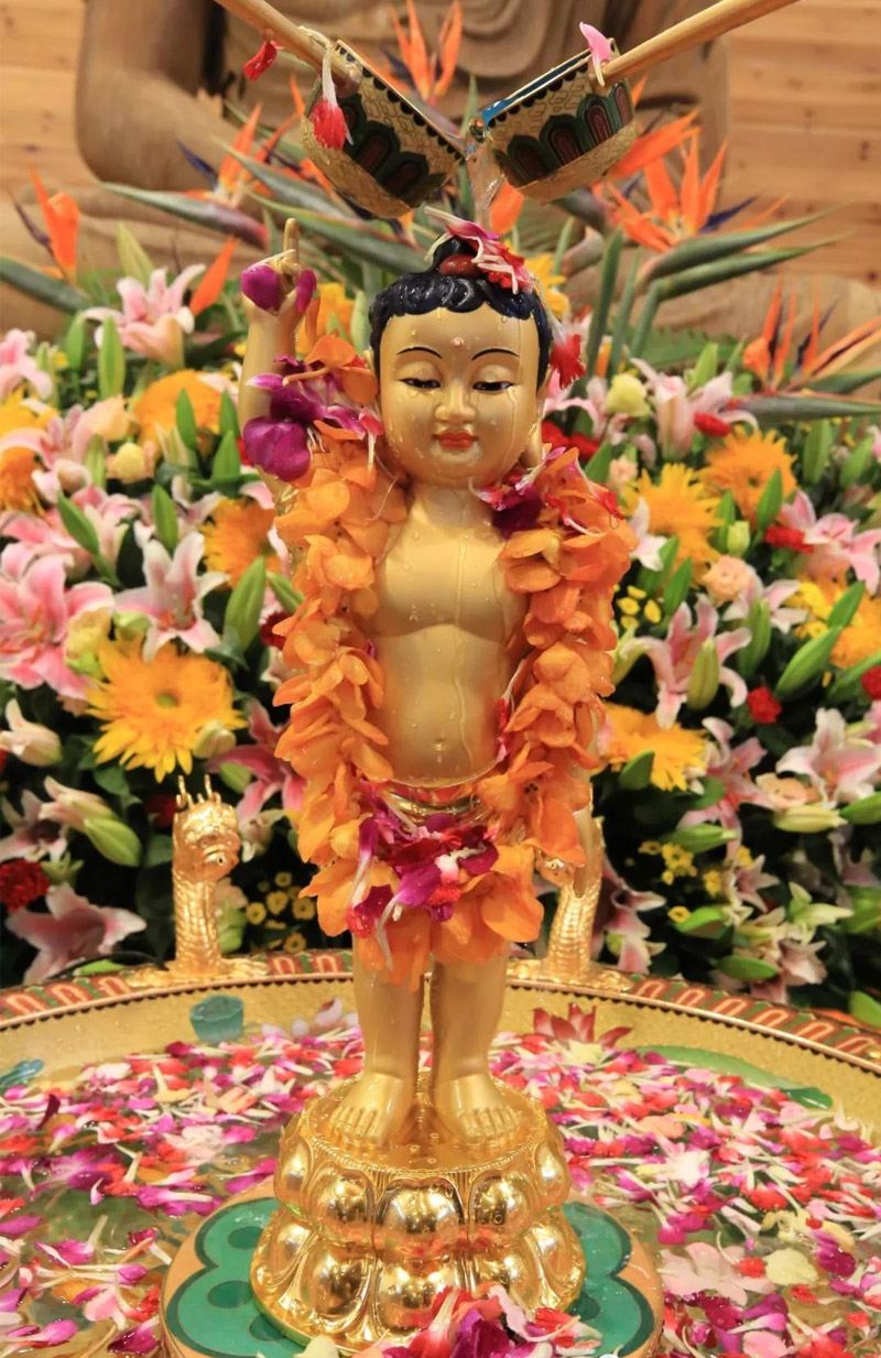 悲愿降娑婆 慈心拔沉沦——天上云居恭迎本师释迦牟尼佛圣诞 悲愿降娑婆 慈心拔沉沦——天上云居恭迎本师释迦牟尼佛圣诞