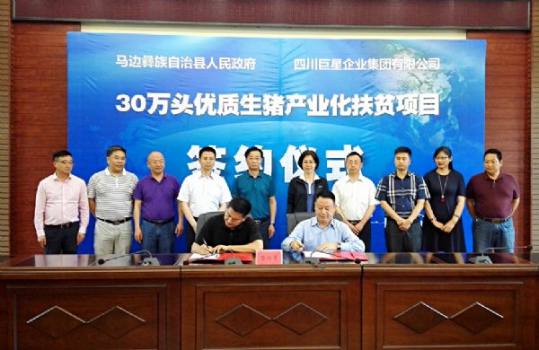 产业扶贫接力赛 开花结果小凉山——巨星30万头生猪产业项目马边签约 产业扶贫接力赛 开花结果小凉山——巨星30万头生猪产业项目马边签约