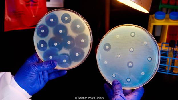化学资源丰富的海洋生物：或能帮助人类研发新药物