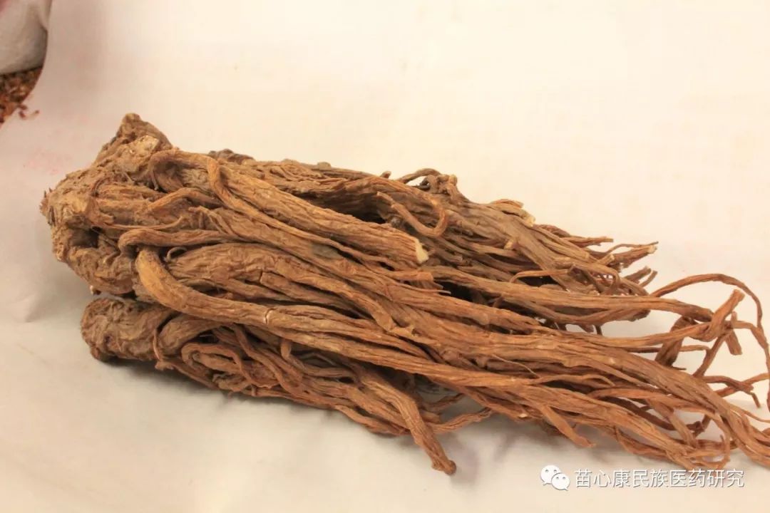 探秘苗药 | 旋觉云归无处寻 探秘苗药 | 旋觉云归无处寻