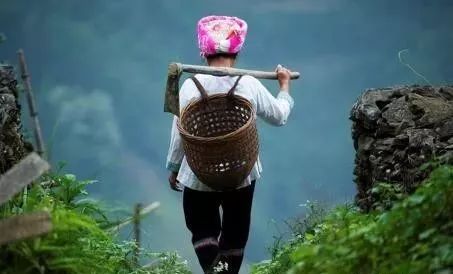 苗药的起源 苗药的起源