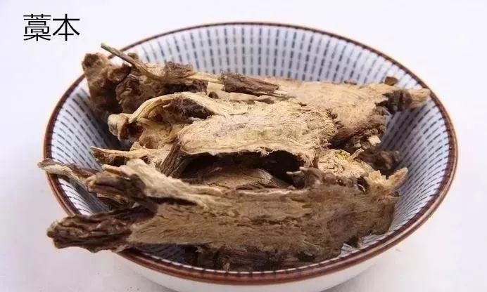 苗药的起源 苗药的起源