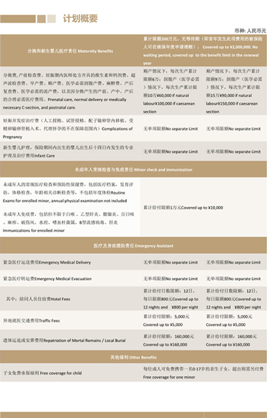 配齐计划 配齐计划