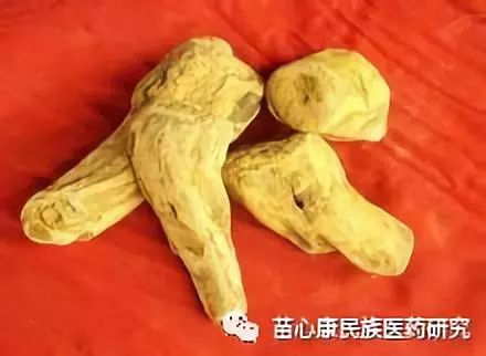 探秘苗药 | 以将军之号,取其骏快也 探秘苗药 | 以将军之号,取其骏快也