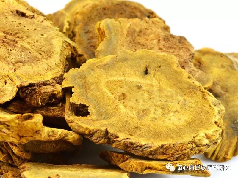 探秘苗药 | 以将军之号,取其骏快也 探秘苗药 | 以将军之号,取其骏快也
