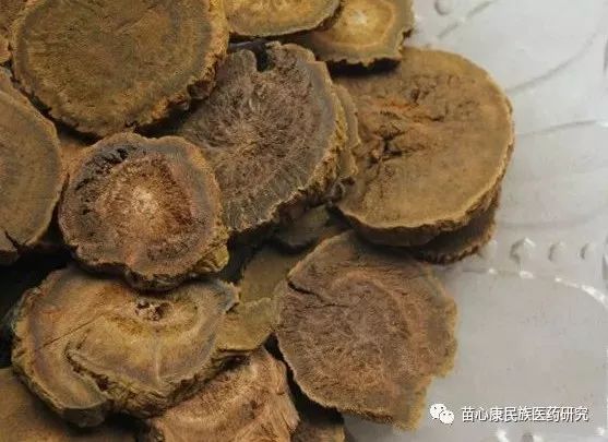 探秘苗药 | 以将军之号,取其骏快也 探秘苗药 | 以将军之号,取其骏快也