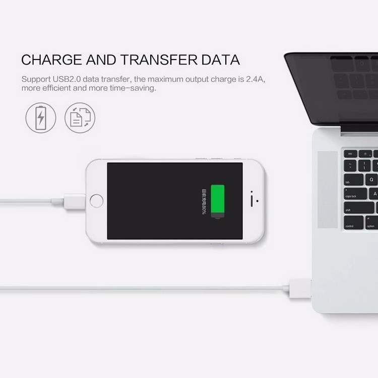 Magnetic Charge and Data Cable