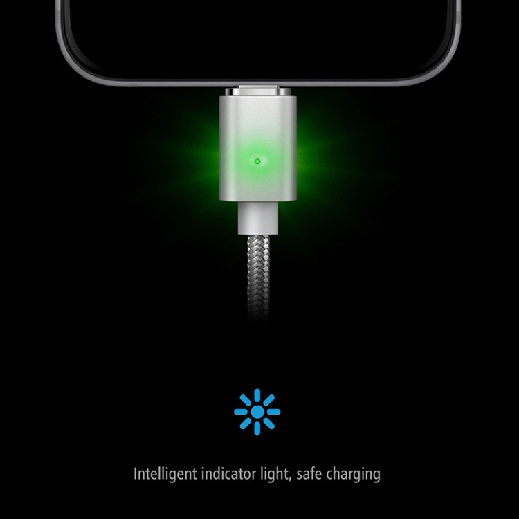 Magnetic Charge and Data Cable