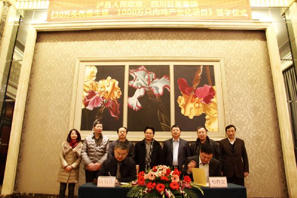 2015第一单  巨星与四川泸县签订产业发展项目