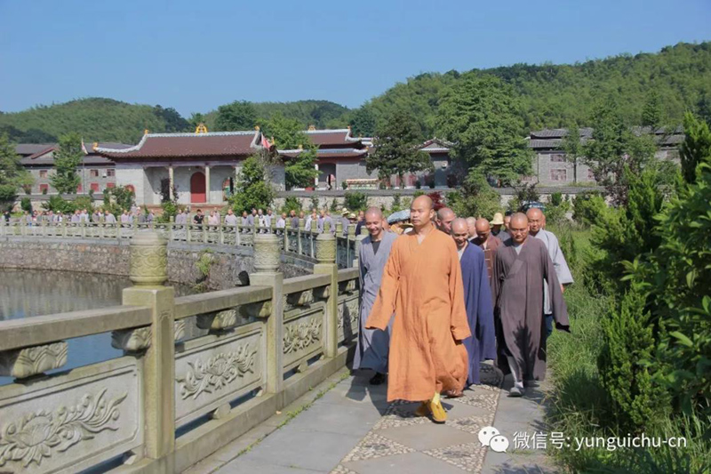 此一茎,本来面, 一年一度为谁现 ——真如禅寺大众出普坡插秧 此一茎,本来面, 一年一度为谁现 ——真如禅寺大众出普坡插秧