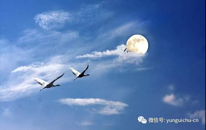 舍诸幻化入实相 识心达本归故乡——恭迎世尊出家吉日 舍诸幻化入实相 识心达本归故乡——恭迎世尊出家吉日