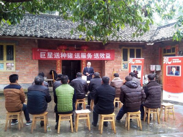 送种猪 送服务 送效益——巨星集团“猪&料联动模式”助推养殖业升级换代 送种猪 送服务 送效益——巨星集团“猪&料联动模式”助推养殖业升级换代