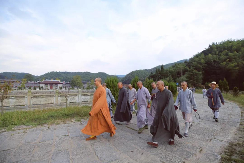 云居山真如禅寺全体僧众出普坡收割水稻 云居山真如禅寺全体僧众出普坡收割水稻