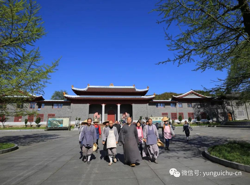 一毫端上通消息 遍界明明不覆藏——天上云居真如禅寺大众普坡采茶 一毫端上通消息 遍界明明不覆藏——天上云居真如禅寺大众普坡采茶